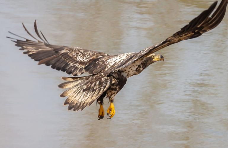 Villagers showcase photography talent