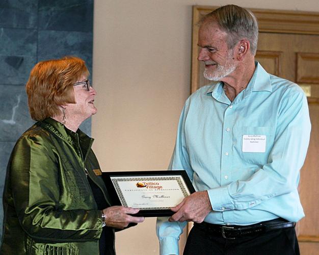 Active Villagers garner POA awards