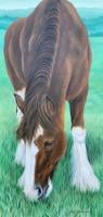 Art Guild anticipates annual show return