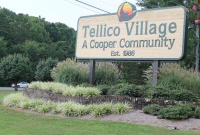 Village delinquent lots issue settled?