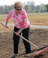 Garden club works to save monarchs