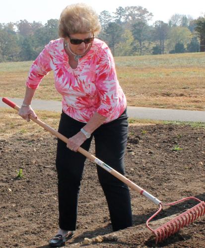 Garden club works to save monarchs