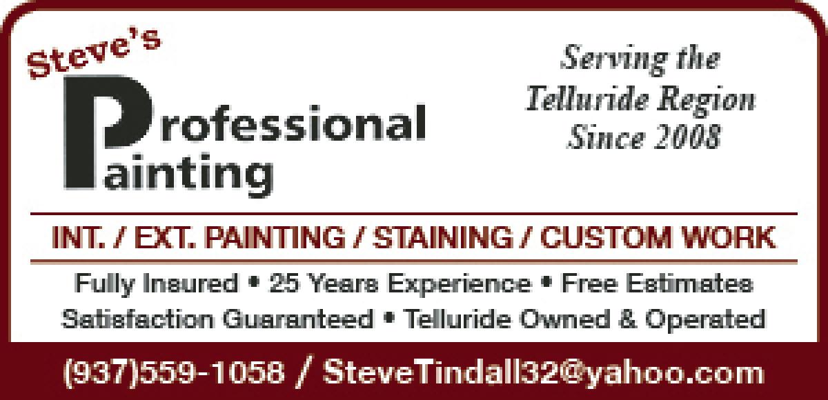 Steve S Professional Painting Steve S Professional Painting