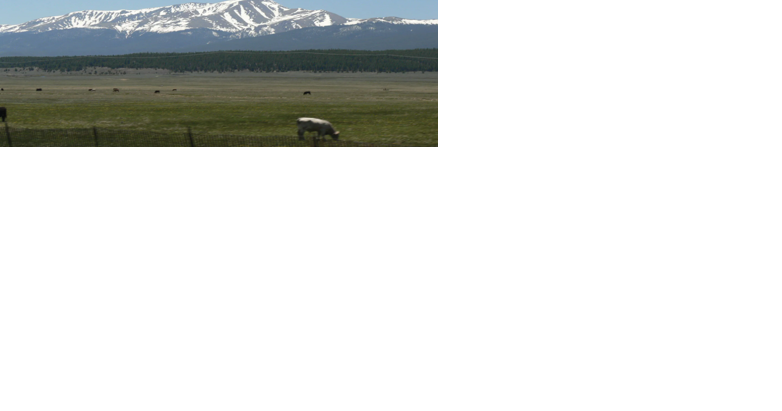 Ag panelists herd water solutions to Telluride - Vimarsana News