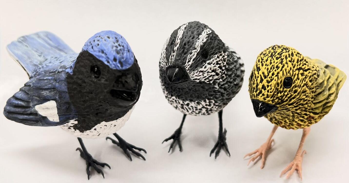 Artist Tara Carter has her own flyway at collaborative show - Vimarsana News