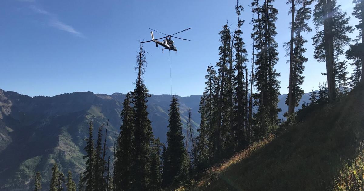 Zip line, logging and one burly chopper | News | telluridenews.com