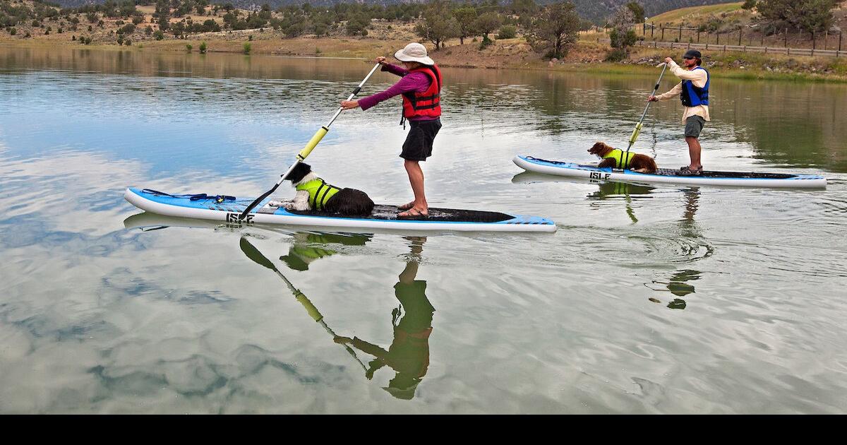 The hidden dangers of paddleboarding News