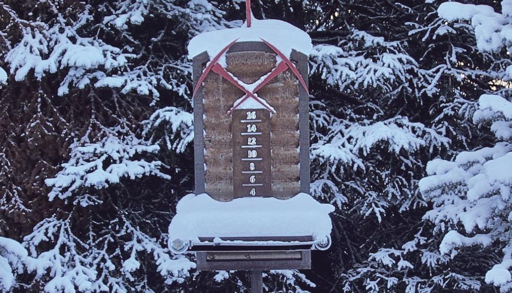 Welcome Back Winter News Telluridenews Com