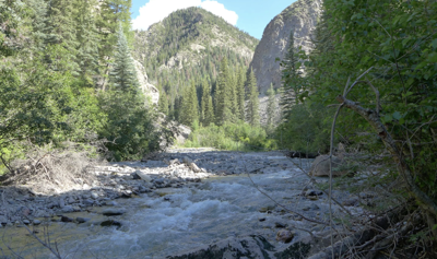 Ouray Water