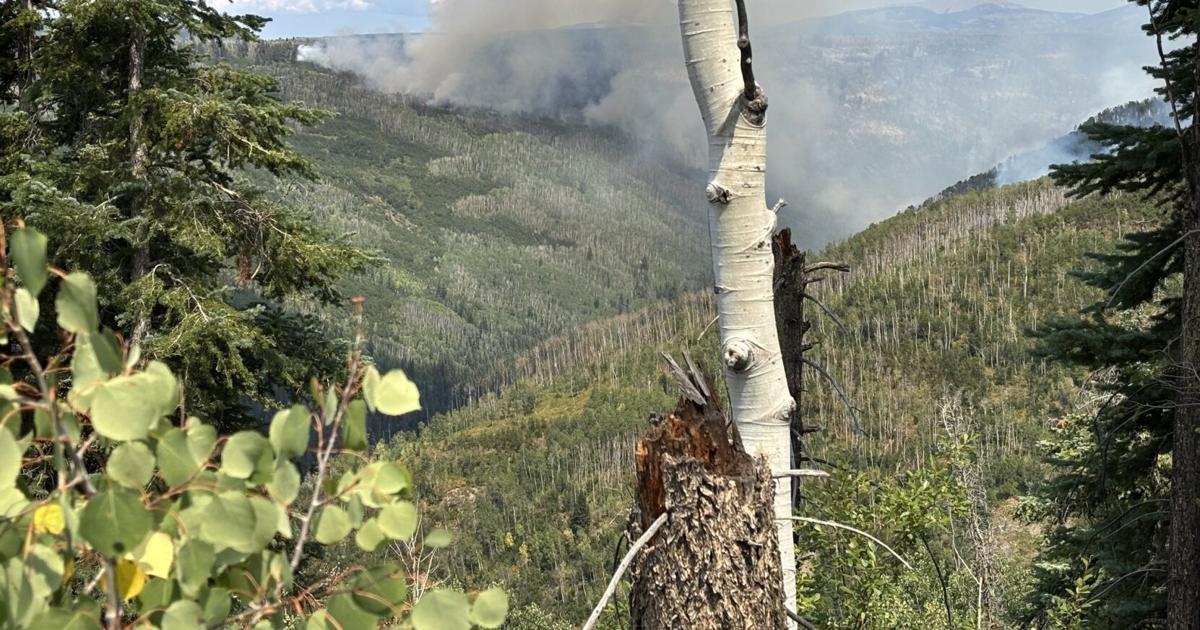 Towns, County announce stage 2 fire restrictions