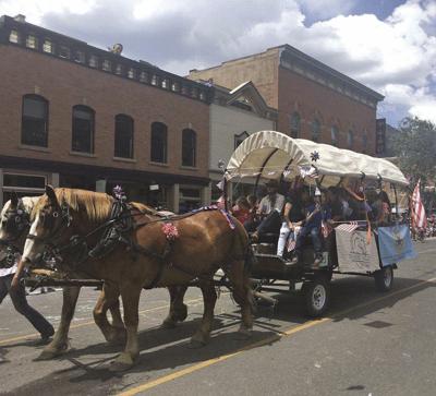 peta rips horse drawn