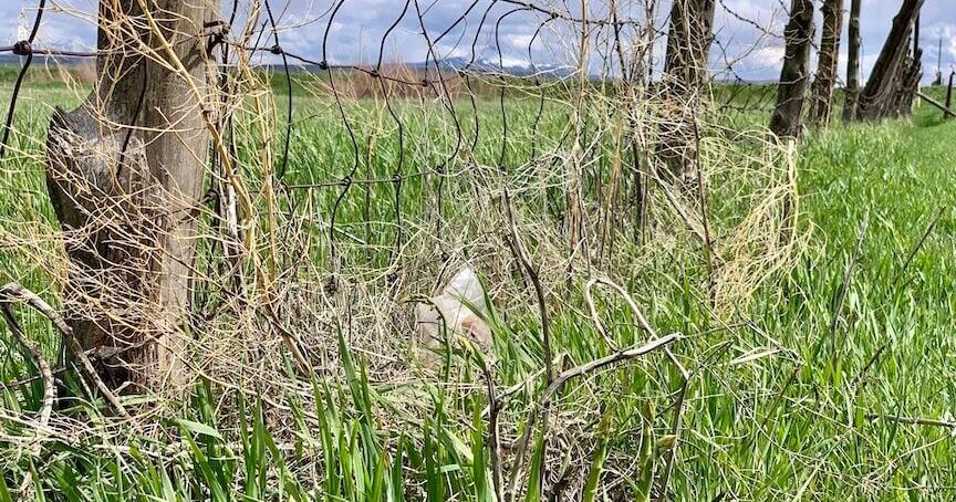 County initiates land use code update for affordable housing | News ...