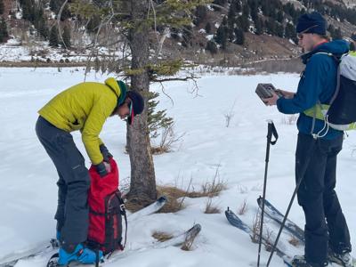 Elk program