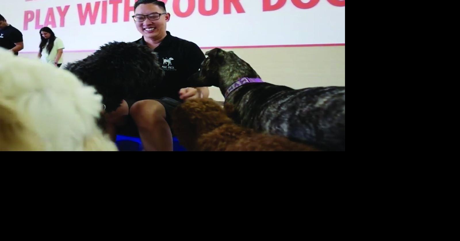 Pandemic pet boom inspired their dog business