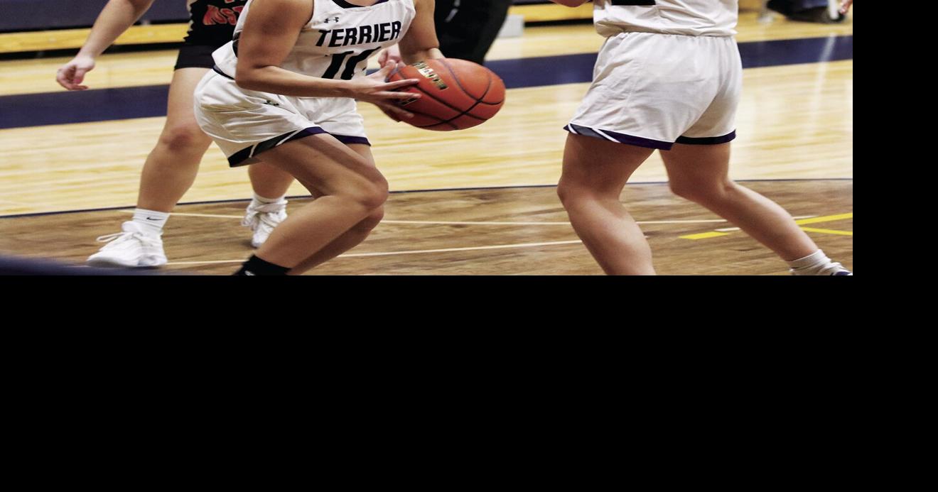 Terry Terriers secure third place in the District 4C tournament