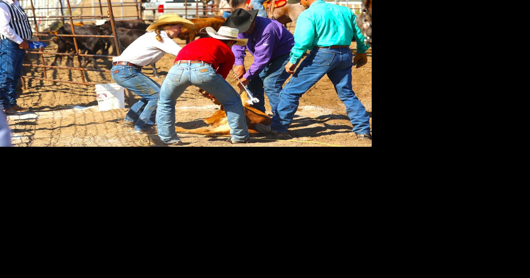 Eastern Montana Ranch Rodeo Finals | News | terrytribune.com