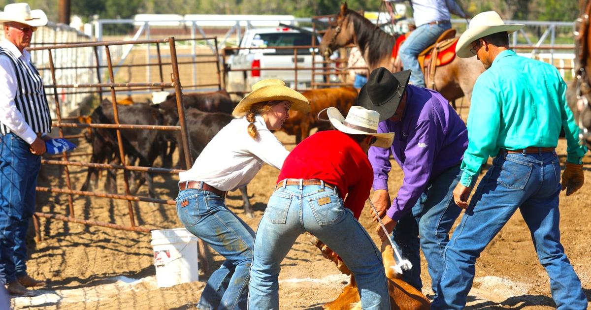 Forsyth Mt Ranch Rodeo Eastern Montana Ranch Rodeo Finals | News | terrytribune.com