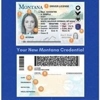 Mt Driver License Examples Montana Motor Vehicle Division launches new driver licenses and IDs ...