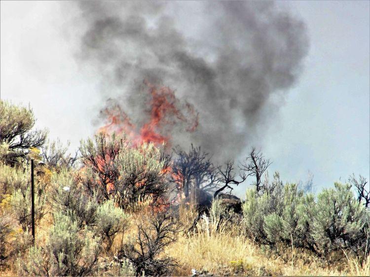 Deer Park Fire now 65 percent contained; minimal fire activity News
