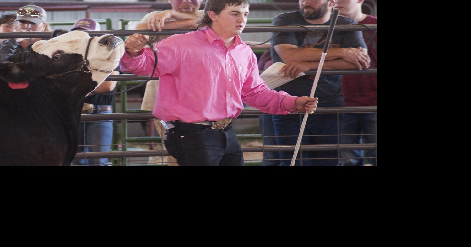 Livestock sale a successful wrap to the Teton Valley Fair News