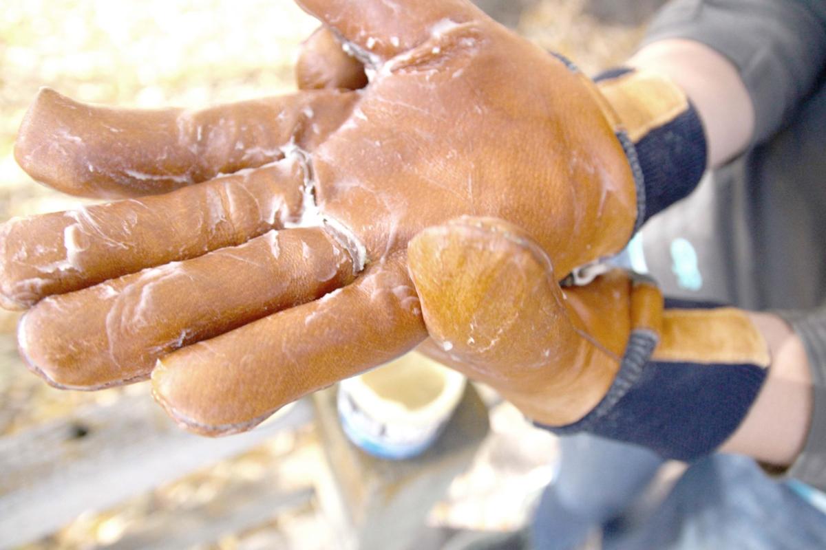 applying sno seal to gloves