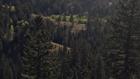 Thumbnail ofForest reminds hunters and recreational shooters to recreate responsibly