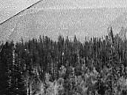 A Camp Was Born History Tetonvalleynews Net