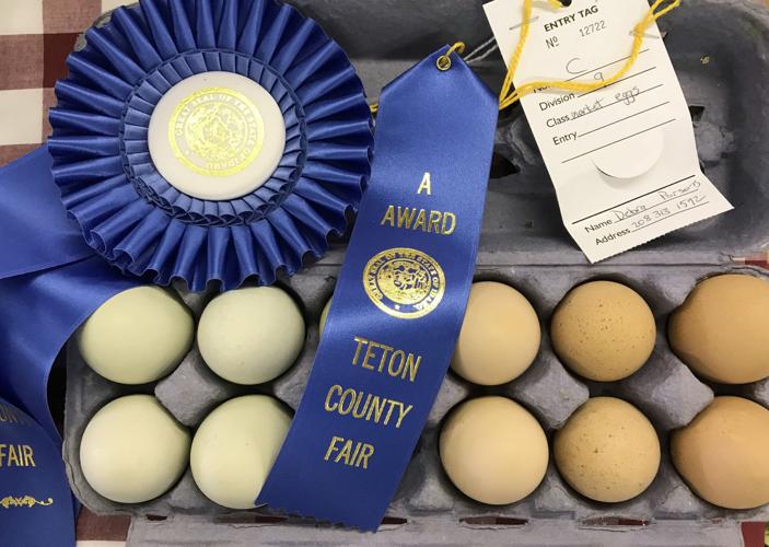 Teton Valley Fair Schedule of Events Freeaccess