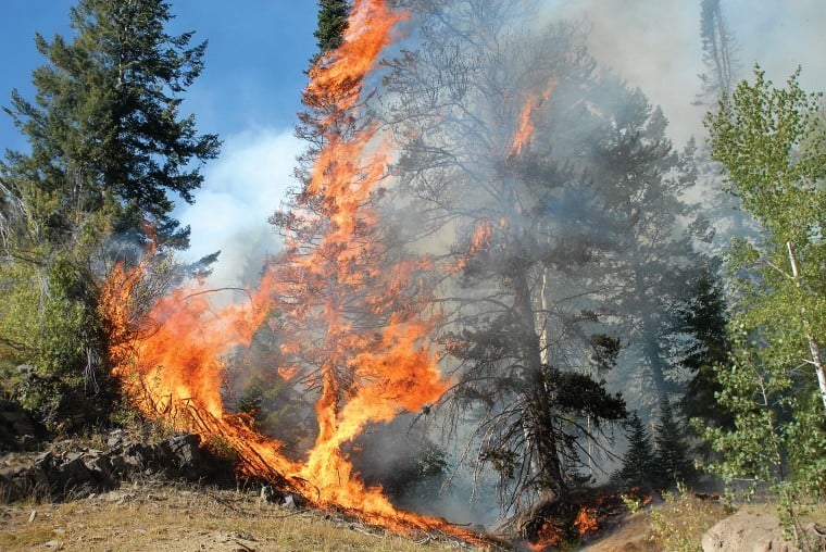 Red Creek fire lit Friday | News | tetonvalleynews.net