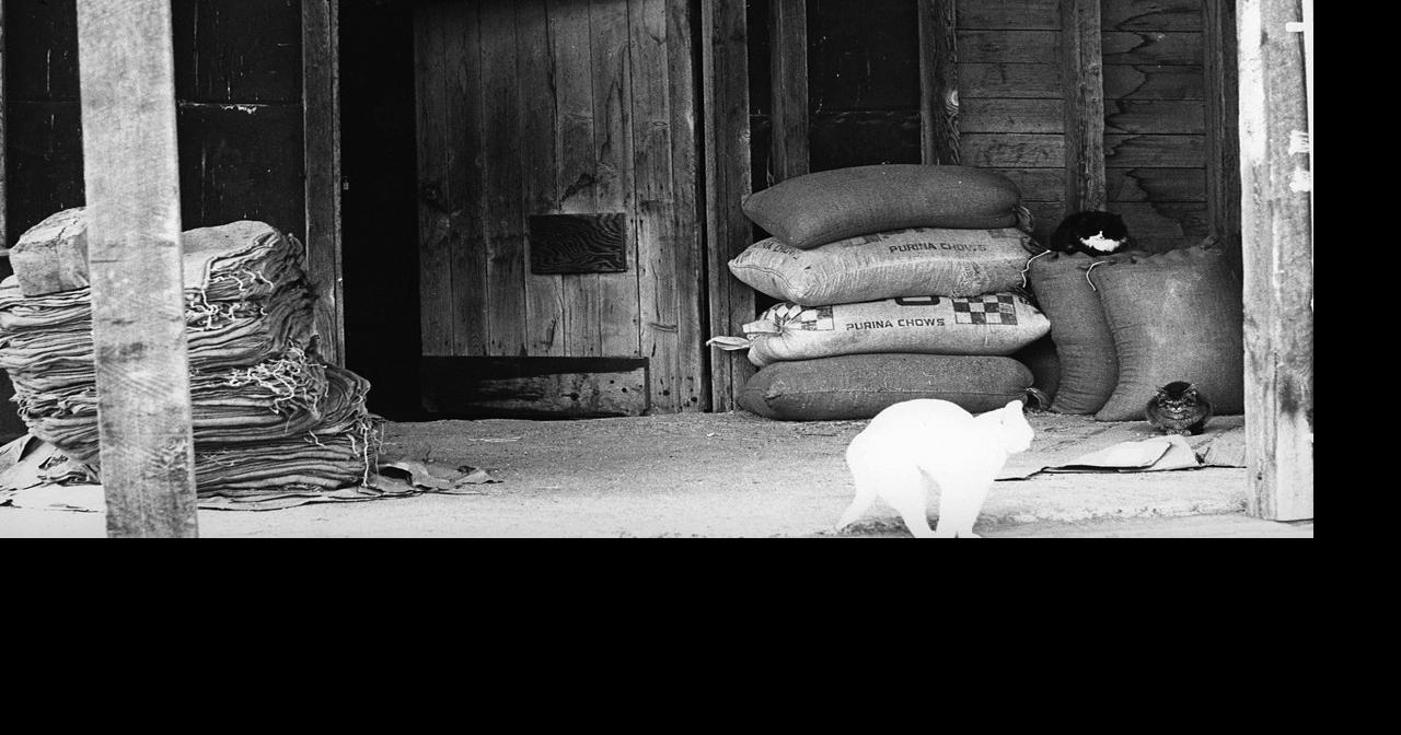 Teton Flour Mill important to valley History