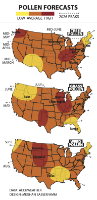 More pollen, more often | Meteorology | tetonvalleynews.net