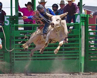 High School Students Head To State Rodeo Competition Sports Tetonvalleynews Net