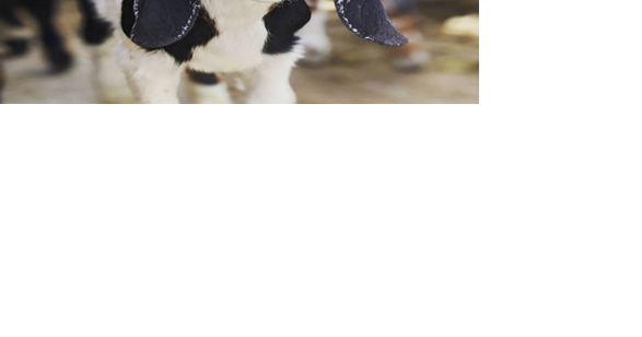 Teton Farmer Fund grant supports local and regional agriculture - Vimarsana News