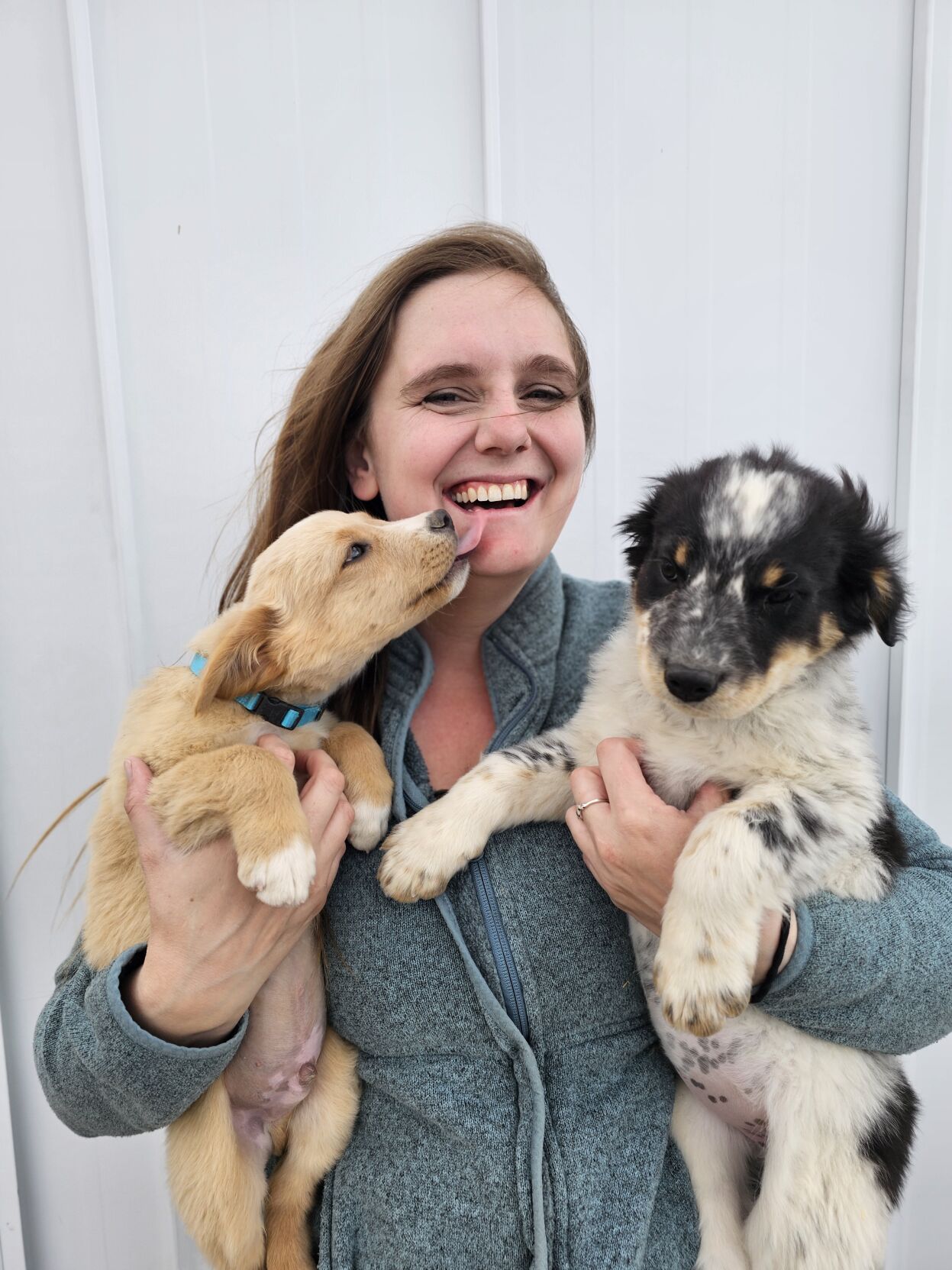 Robin Scheff Alaska Aska’s Animals adds certified dog trainer to staff | Zoology ...