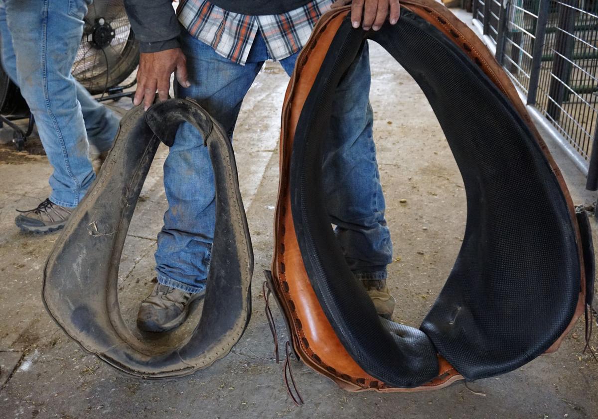 Feats of Strength Agriculture