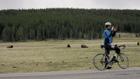 Thumbnail ofYellowstone National Park closes South Entrance to spring biking