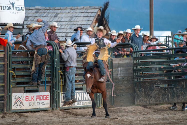 The voice of the rodeo: Bryan Ray | | tetonvalleynews.net