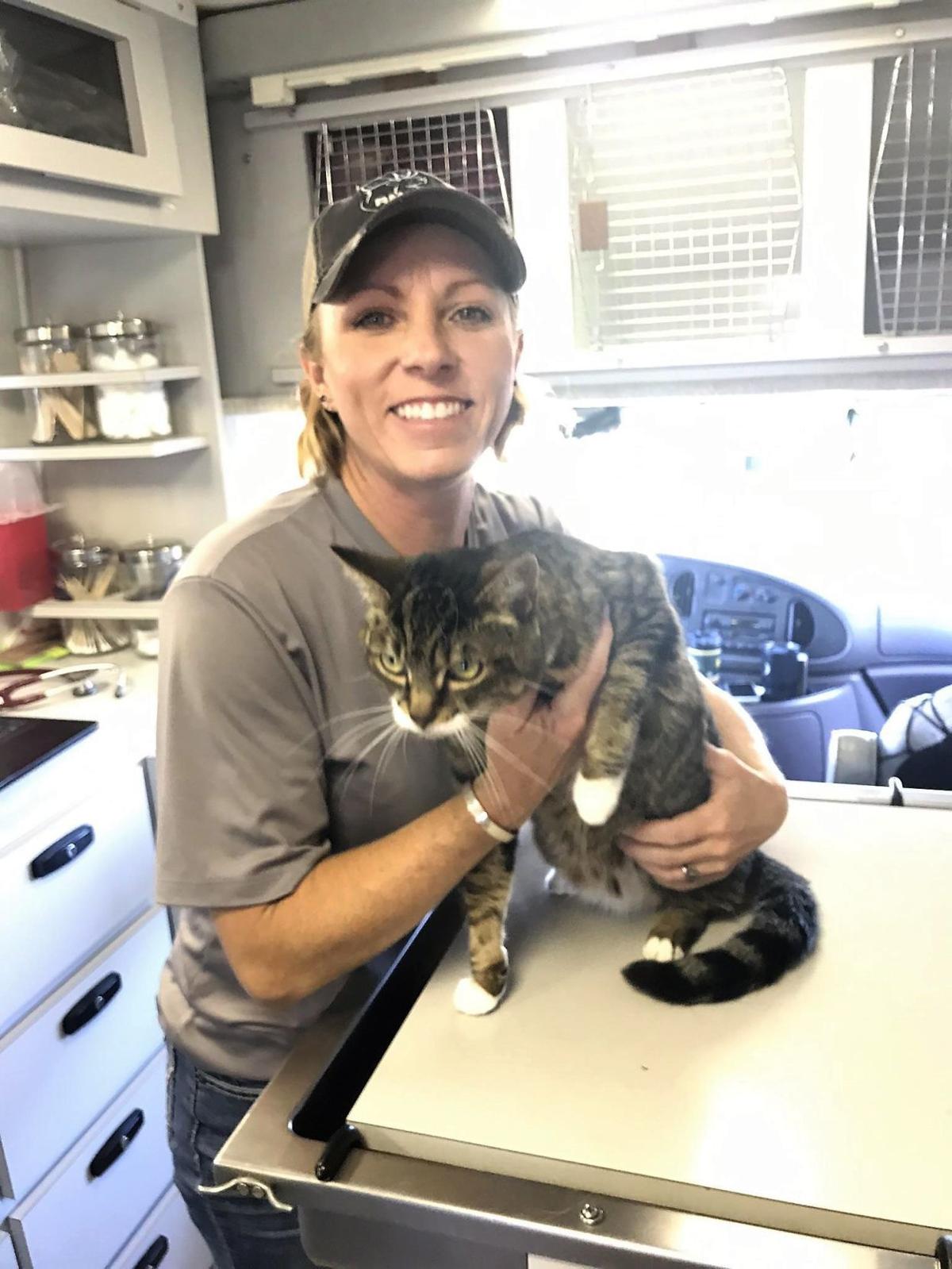 Hot Dogs And Cool Cats Weatherblog Tetonvalleynews Net