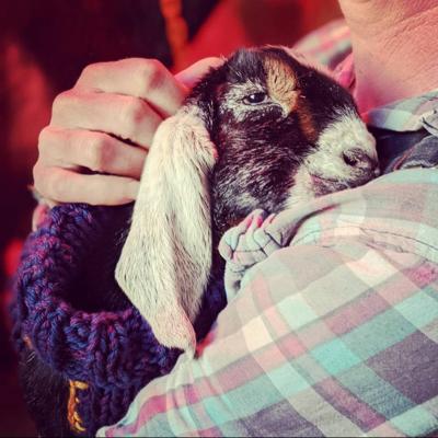 New Kids On The Block Community Tetonvalleynews Net