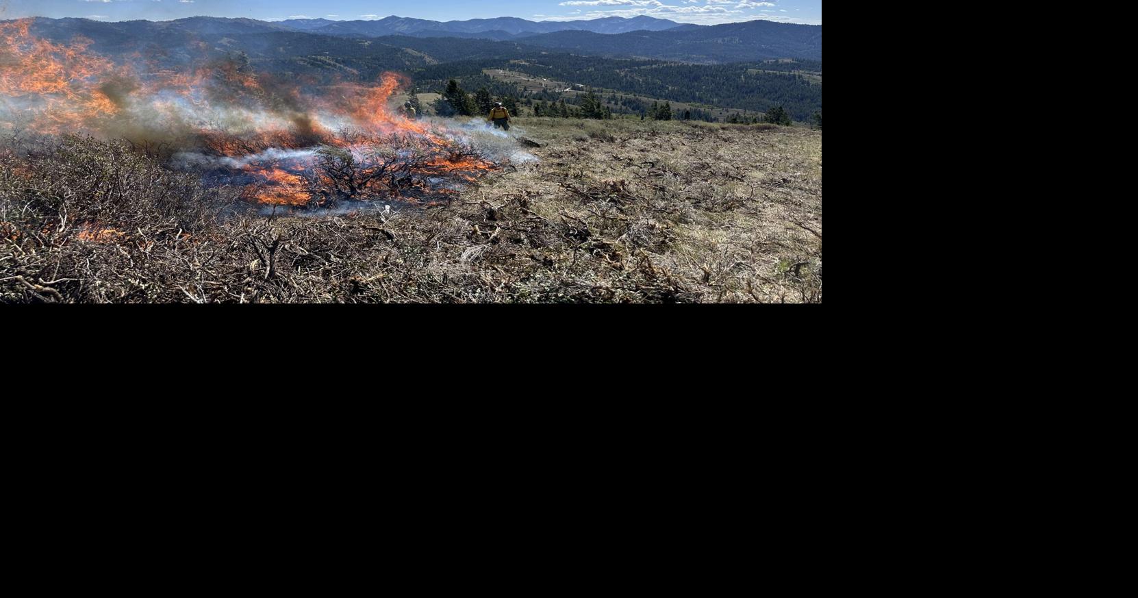 Prescribed Fire Operations to Continue on the Caribou-Targhee ...