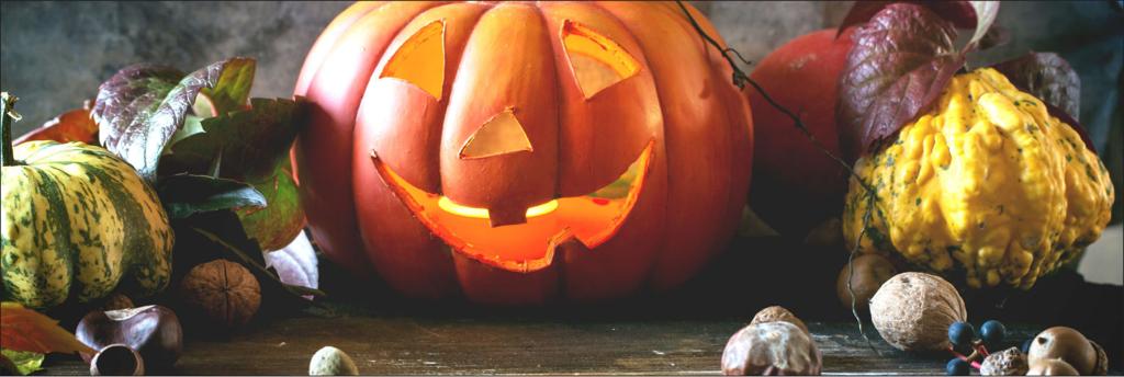 Halloween And Fall Like Happenings In October News Tetonvalleynews Net