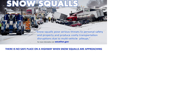 Squeals and Squalls - Vimarsana News