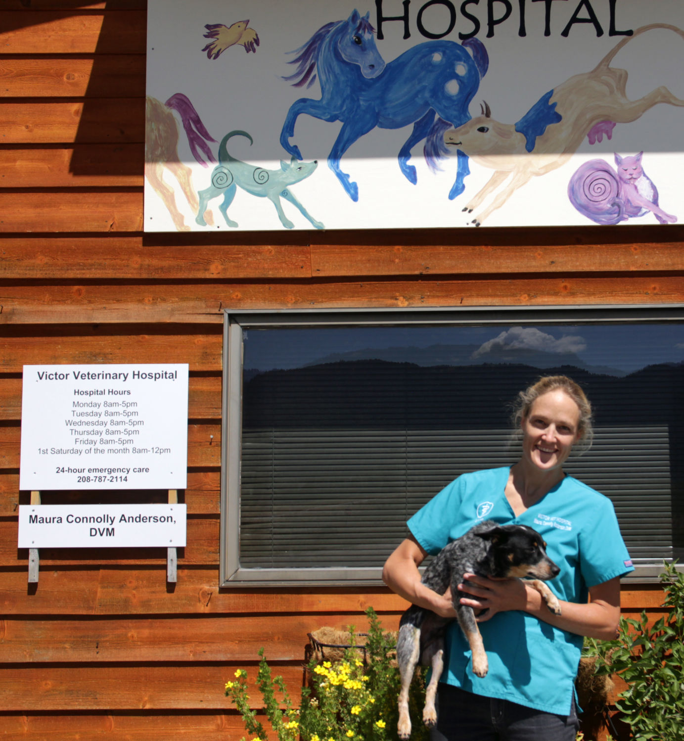 anderson 24 hour vet