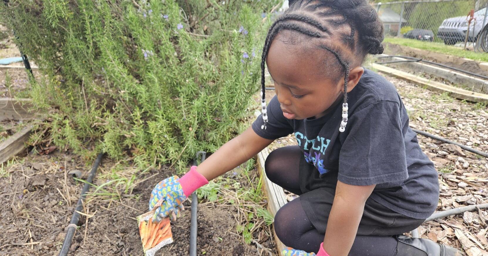 Lexington church, youth group partner to care for community garden - Vimarsana News