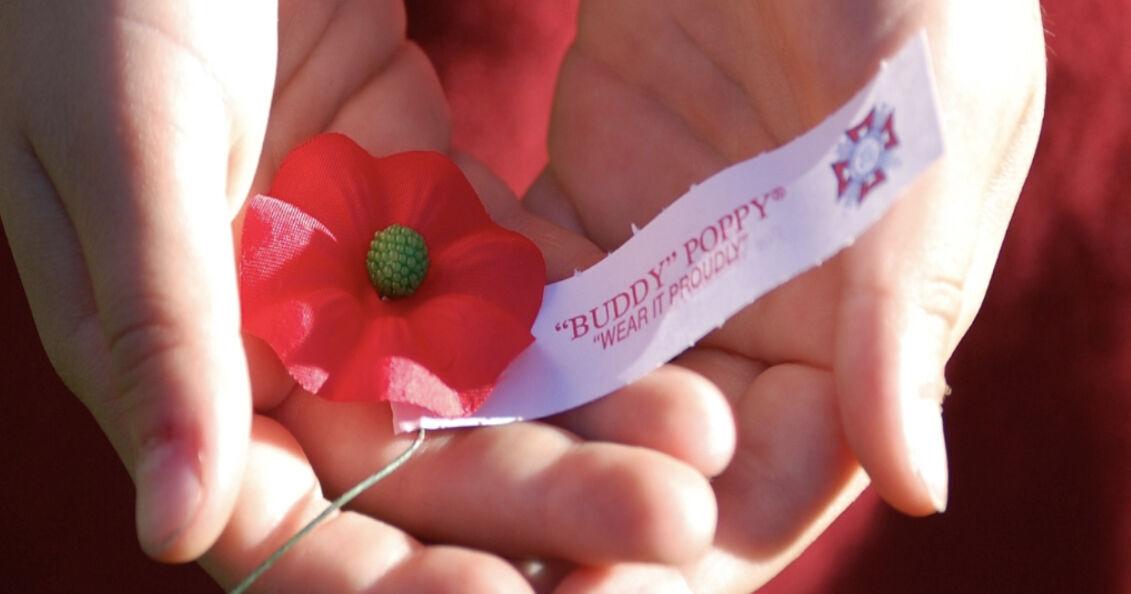 Memorial Day: Lexington veteran wants to share the solemn meaning of the red poppy - Vimarsana News