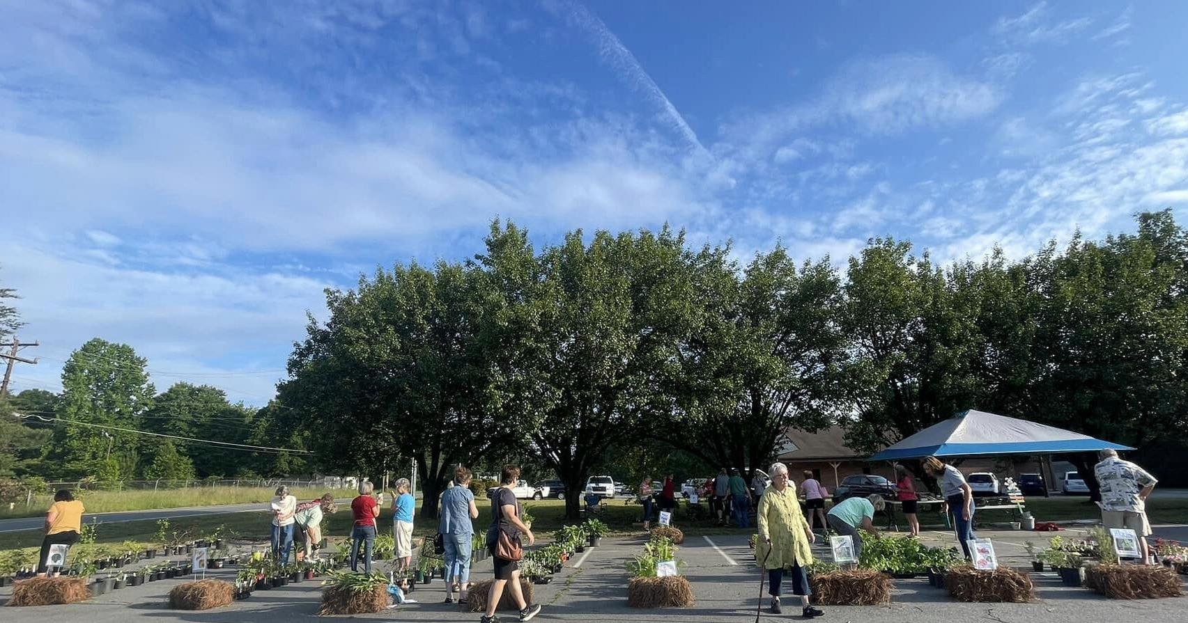 70-year-old Davidson County garden club plans plant sale - Vimarsana News