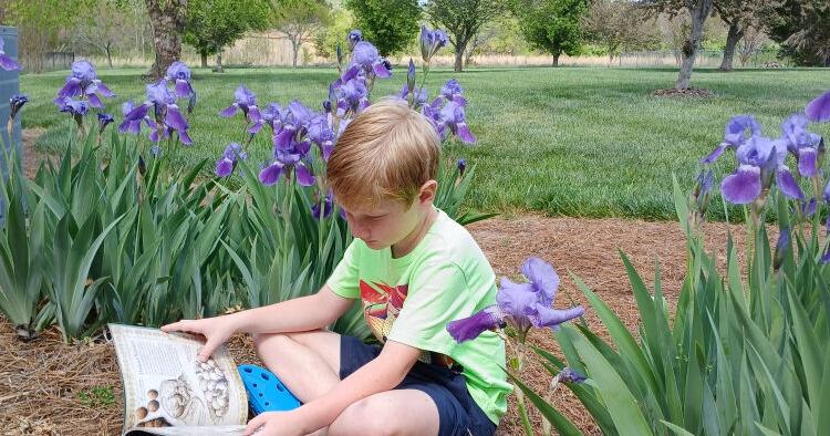 Books in Bloom brings stories, gardens, and young readers together in Lexington
