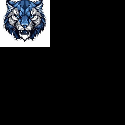 Davidson County school board raises activity bus rate, approves unified Wildcat logo for South Davidson