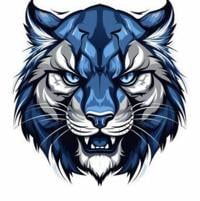 Davidson County school board raises activity bus rate, approves unified Wildcat logo for South Davidson