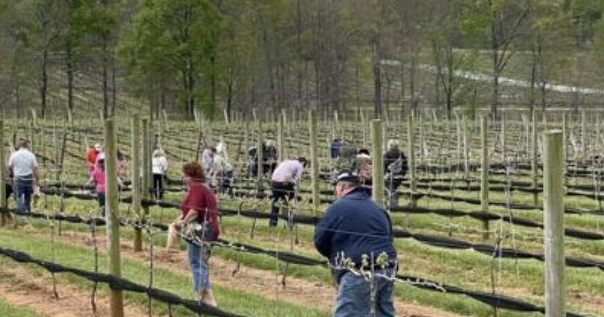 5 things to do: Cork hunt for the adults and egg hunts for the children - Vimarsana News